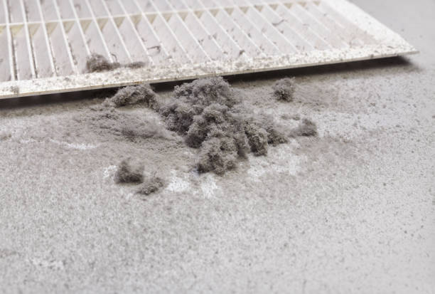 Best Professional Duct Cleaning Services  in West Ishpeng, MI