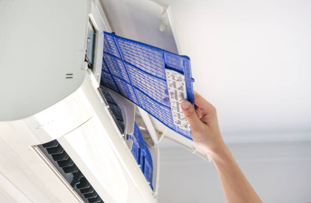 Best Air Duct Sanitizing Services  in West Ishpeng, MI